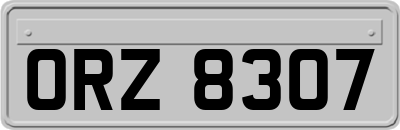 ORZ8307