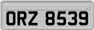 ORZ8539