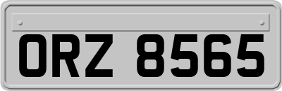 ORZ8565