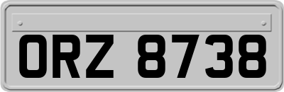 ORZ8738