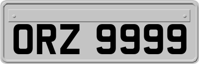 ORZ9999