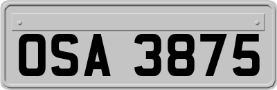 OSA3875