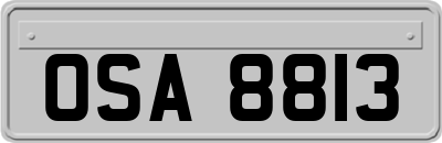 OSA8813