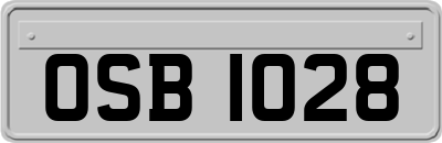 OSB1028