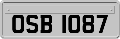 OSB1087