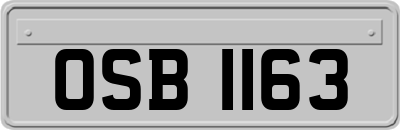 OSB1163