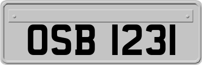 OSB1231