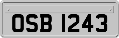 OSB1243