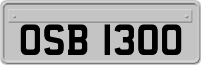 OSB1300