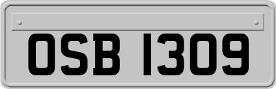 OSB1309