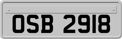 OSB2918