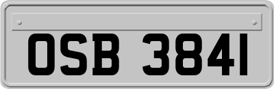 OSB3841