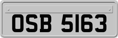OSB5163