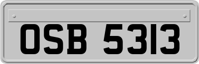 OSB5313