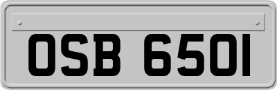 OSB6501