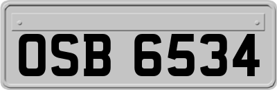 OSB6534