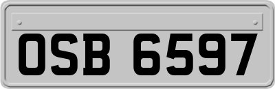 OSB6597