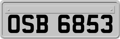 OSB6853
