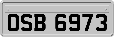 OSB6973