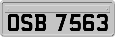 OSB7563