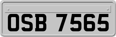 OSB7565