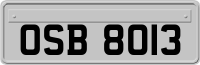 OSB8013