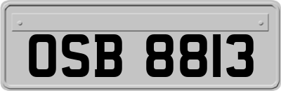 OSB8813