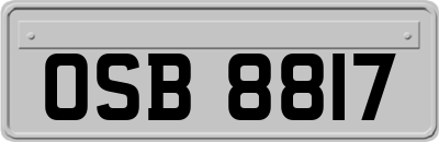 OSB8817