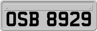 OSB8929