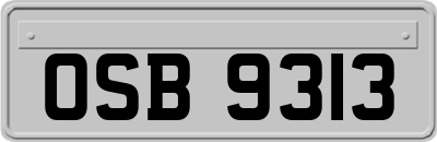OSB9313