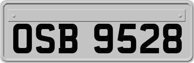 OSB9528