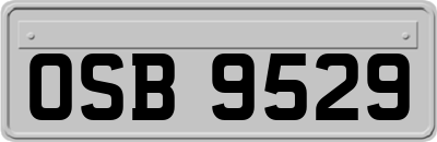 OSB9529