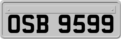 OSB9599