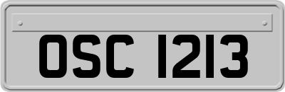 OSC1213