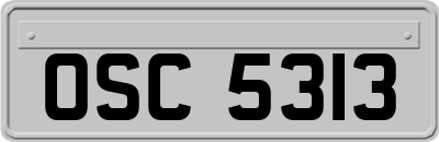 OSC5313