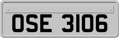 OSE3106