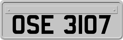 OSE3107