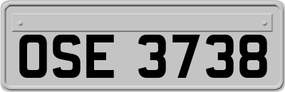 OSE3738