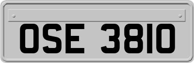 OSE3810