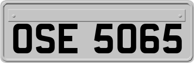 OSE5065