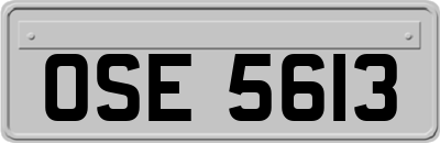OSE5613