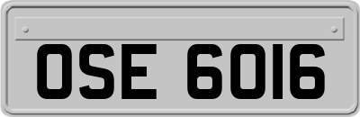 OSE6016