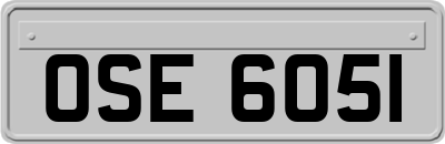 OSE6051