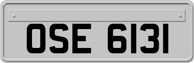 OSE6131