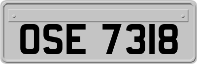 OSE7318