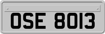 OSE8013