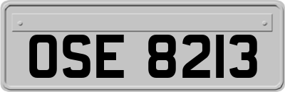 OSE8213