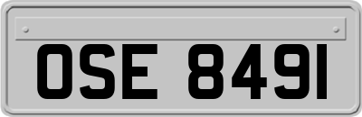 OSE8491