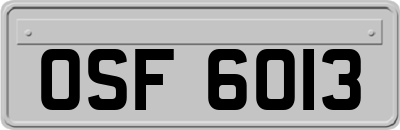 OSF6013