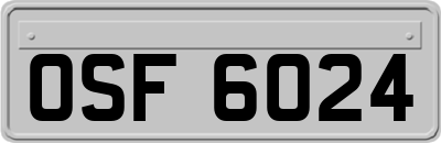OSF6024
